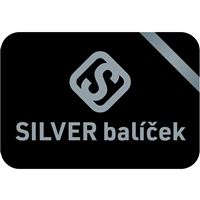 DAB.SILVER 3  dconnect služba 12 měsíců, 1 měsíc uložení dat