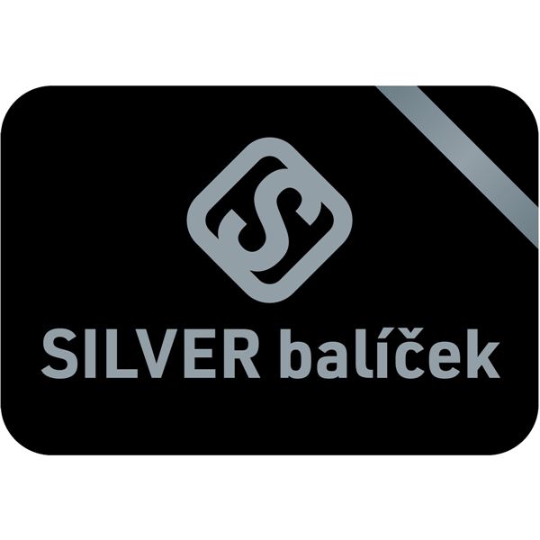 DAB.SILVER 4  dconnect služba 12 měsíců, 1 měsíc uložení dat